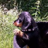 In de fietsmand!18-06-10