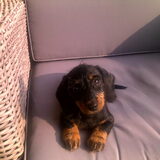 Funs wou meehelpen,water geven,maar werd zelf helemaal nat!25-06-10