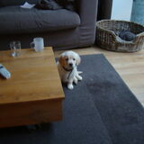 Oh wat was hij klein