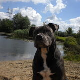 mooie lucht!!!