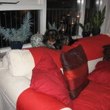 Foto van marijke en winston