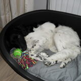 oh wat is ze schattig!