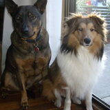 Dante & Butters!