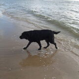 Op het strand