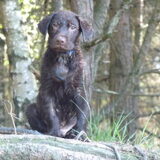 Foto van Elke <3 Bo