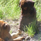 Foto van Elke <3 Bo