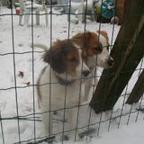 roxie en scotty