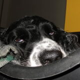 Slapen in de mand...zeer verlept. ;P