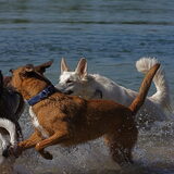 Foto van Hetty & Skipper
