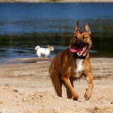 Foto van Hetty & Skipper
