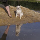 Foto van De Mecheltjes clan