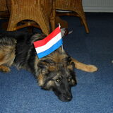 Foto van MARINA <<shana>>