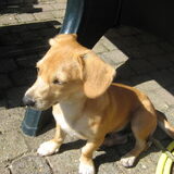 Foto van Tobi en Abeltje