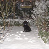 voor het eerst sneeuw