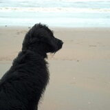 katwijk 2009