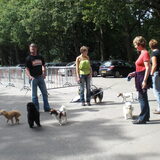 Foto van bets-bean&raider