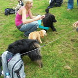 Foto van bets-bean&raider