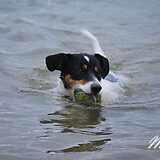 Maya's grootste hobby: Zwemmen!