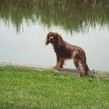 Ohw.. betrapt..