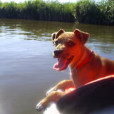 Jari 3 maanden oud en mee op de boot