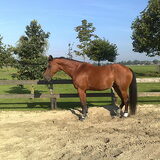 Marille in haar Chill-Relax stand