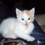 minny