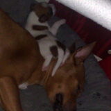 Nee toch zo!!! 02-01-2009