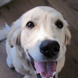 en vind je me mooi?