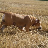 Star on the move...