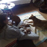 Brinta eten met de pups slapende op mijn schoot, en ik ook nog in de…