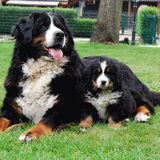 Mijn zus Georgiana Easy Living met haar dochter Jelena...Nederlands…