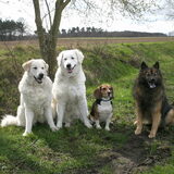 Het "oude" wandelclubje!! Drie maal daags samen struinen door bos en…