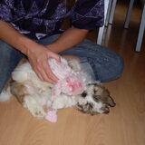 knuffel 'apie' vind rosa erg leuk!