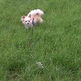 lekker spelen in het gras