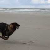 layla in vogelvlucht