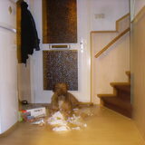 Hond als sloper!!