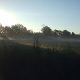 Foto van liesbeth,Turbo,Luna, Levi en Faith