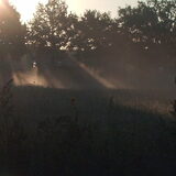 Foto van liesbeth,Turbo,Luna, Levi en Faith