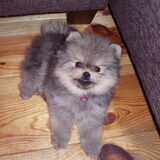 De eerste dag met kleine pip (8,5 weken)
