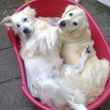 Even knuffelen met mama