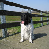 Foto van Marieke