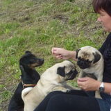 Foto van Elize, Nikki, Wodka en Tommy