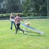 Foto van liesbeth,Turbo,Luna, Levi en Faith
