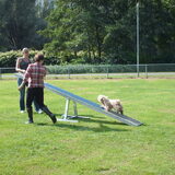 Foto van liesbeth,Turbo,Luna, Levi en Faith