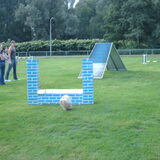 Foto van liesbeth,Turbo,Luna, Levi en Faith