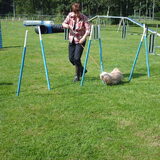 Foto van liesbeth,Turbo,Luna, Levi en Faith