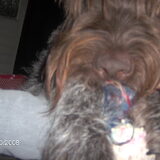 fester licht weer op mijn been '-'