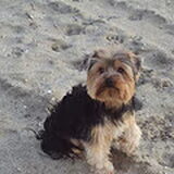 Foto van jessy en djeko