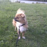 Foto van Wendy