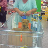 even met me vrouwtje boodschappen doen ja moet ook gebeuren en ik was…